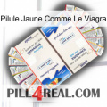 Yellow Pill Like Viagra kamagra1